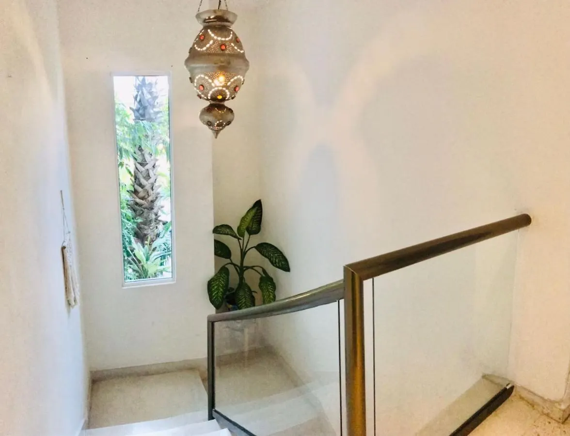Hotel Downtown ميريدا 3*,  المكسيك