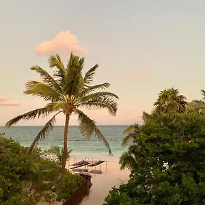 Libelula Beachfront México